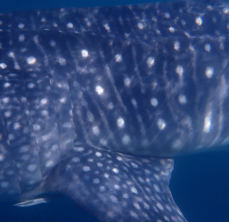 b6583efc-eaed-4688-baae-d98b09f23bdb