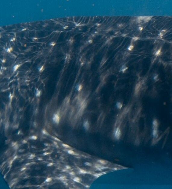 fd213d89-e27b-4087-8148-bac9b534f2cd