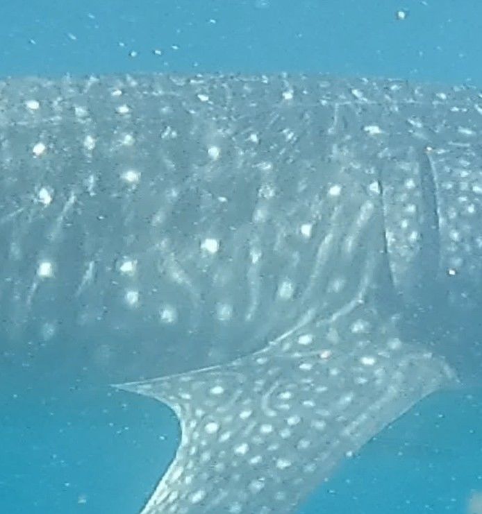 3f7f74ac-e78e-4183-98f5-89755d70986c