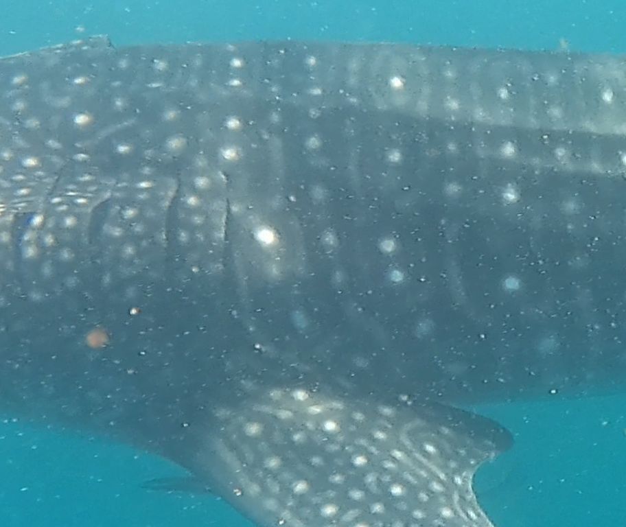 3f7f74ac-e78e-4183-98f5-89755d70986c