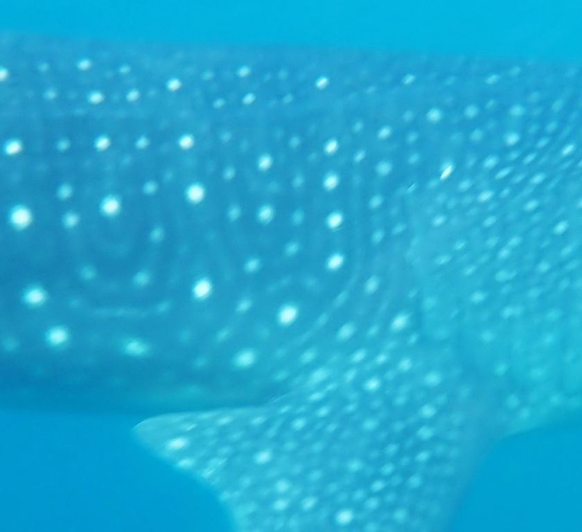 ca939e38-be58-42f0-8e9b-61ea0a624f1a