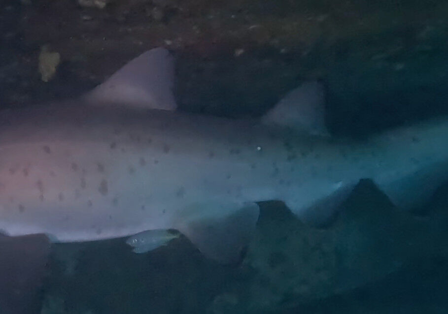 f851d59b-7e71-4b67-90ff-e1a19d627a48