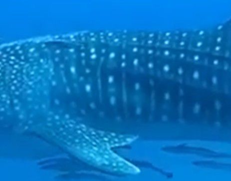 c1ccbd7e-b8ed-4cfc-a86d-014573f303c3