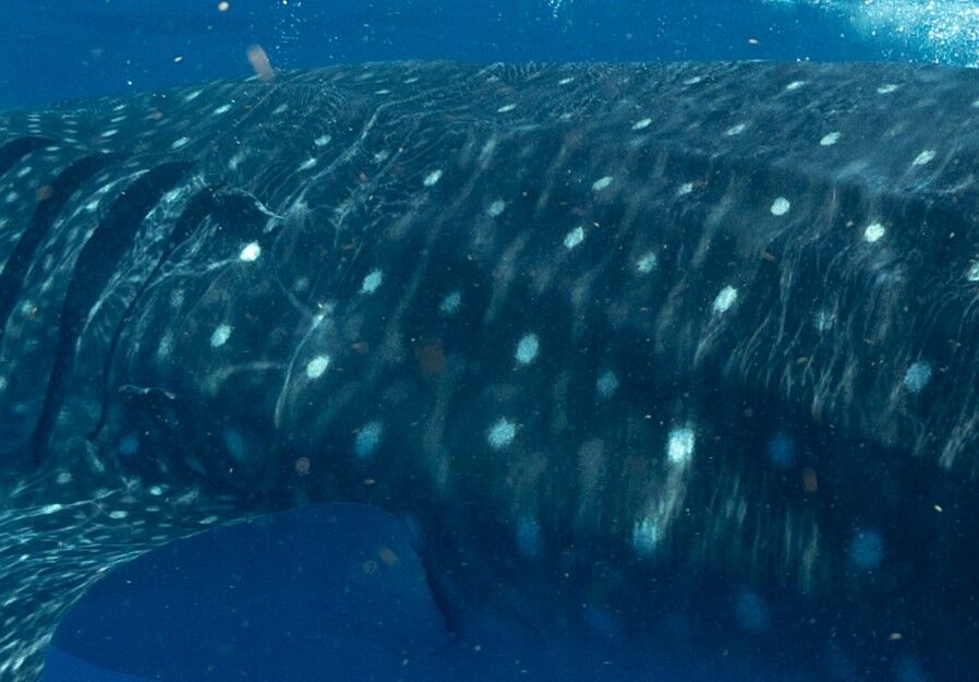 d71c0df2-b88c-40d7-9d56-1a56534c8df8