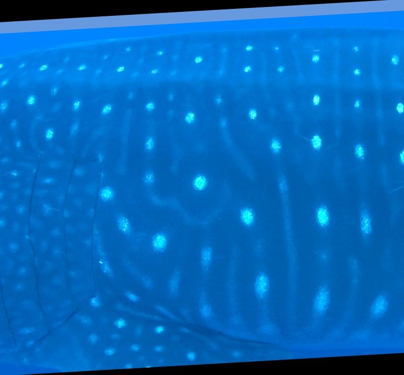 282ce950-57d2-4561-a2fe-7e3b1534c4bd