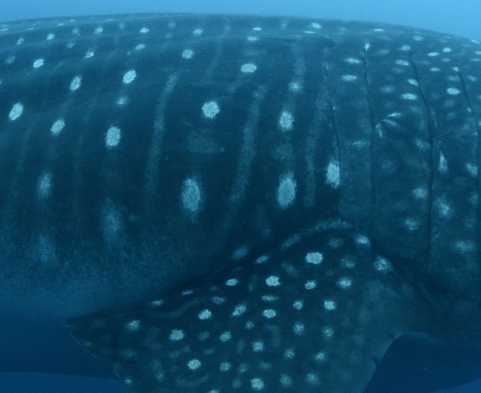 0f4d7aad-b7e4-4a58-af23-48105b289af7