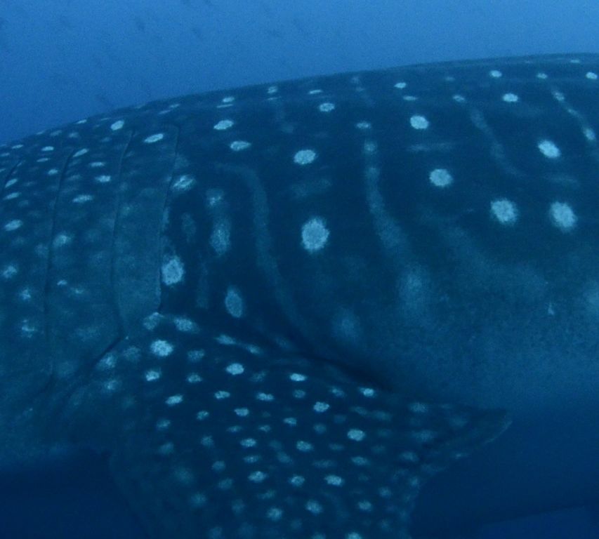 0f4d7aad-b7e4-4a58-af23-48105b289af7