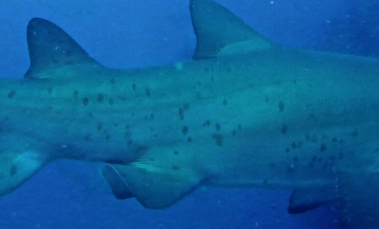 9f19a0fa-d352-4013-a201-544d60430e27