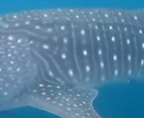 68b6cf30-14ce-4d31-a8fe-3ab19475e4fa