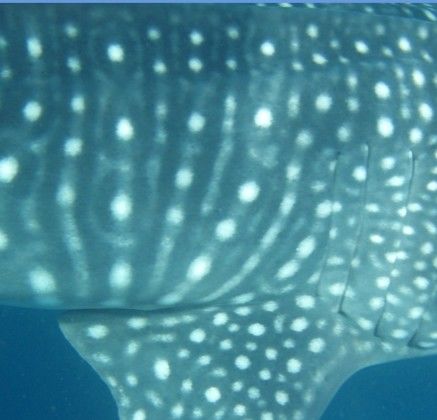 1750faf3-55d5-4a6a-8c28-202a6da26e9c