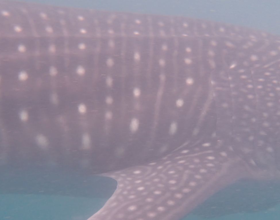 410df24a-fe77-49d1-9023-5729fa51fe99