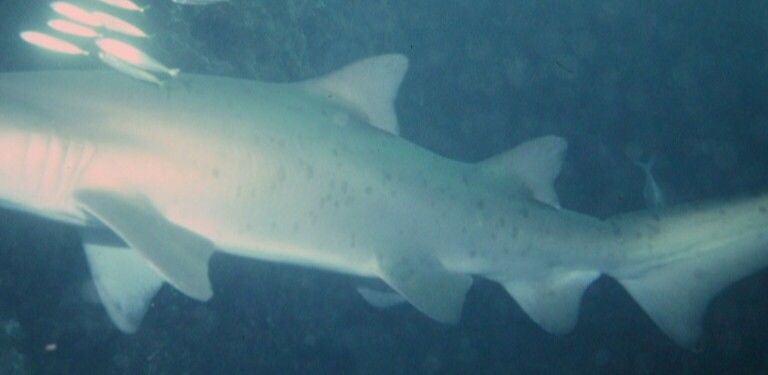 8fe6fbba-6d59-4f04-b698-1c5b9a2b0994