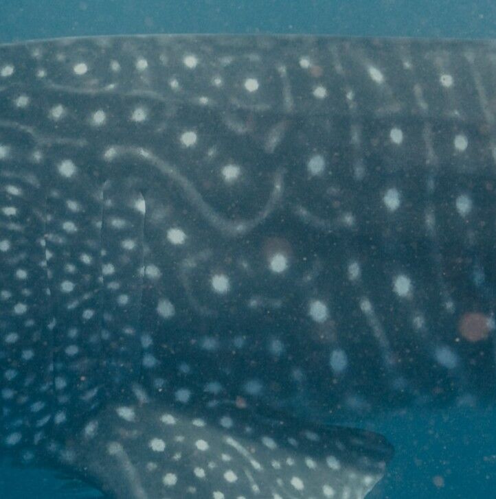 c72ca4da-5ccc-4be2-a1c7-4e1a7532884a