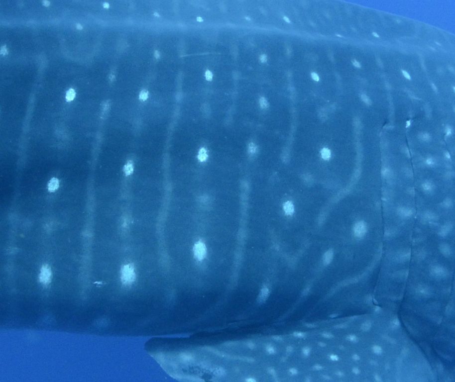 5df2e622-abe2-463b-915c-274df7cbe051