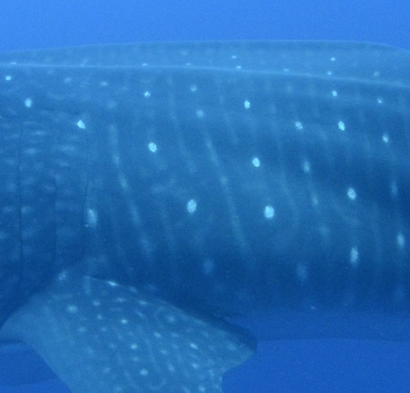 5df2e622-abe2-463b-915c-274df7cbe051