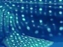 a1f7c45c-eb4d-481b-b69a-7781a5707695