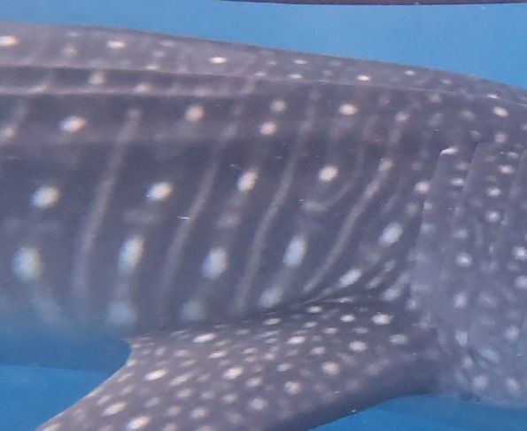 6eeb400d-33ca-4bf4-8389-200b7ddcd59e