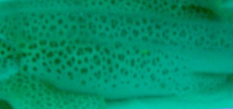 15d2d962-0ebd-4b47-8827-38405f661c68