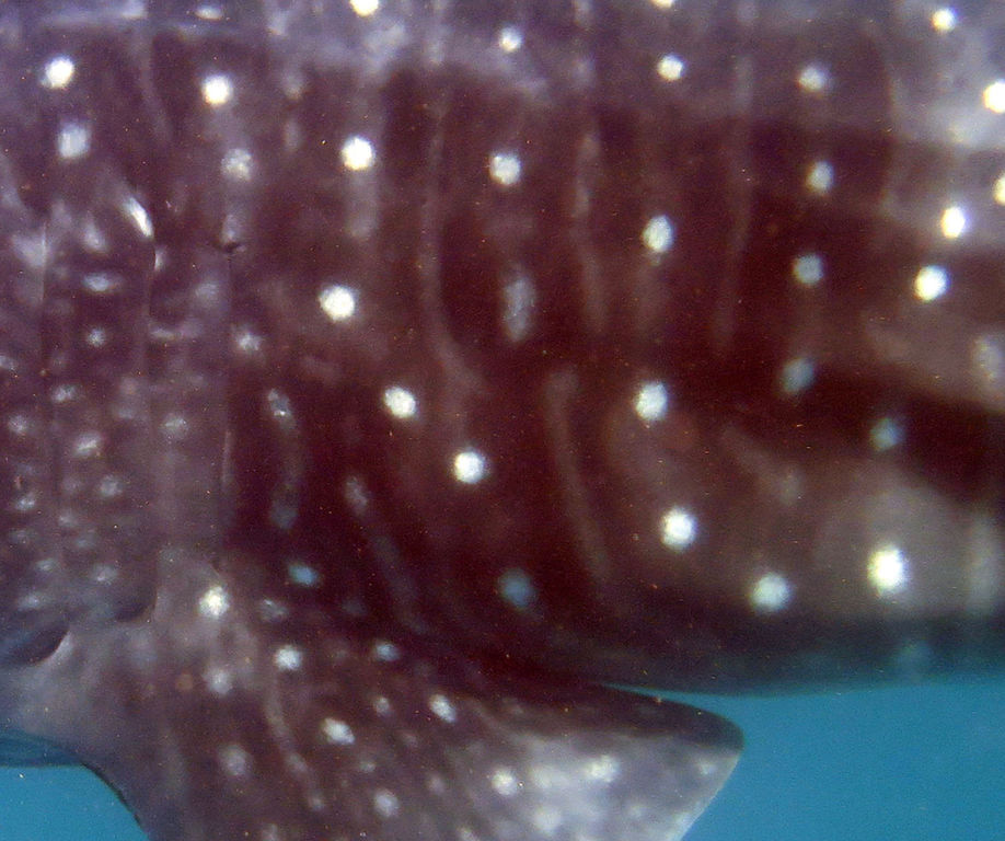 b69ac065-263c-493a-b318-e97d0620c1c3