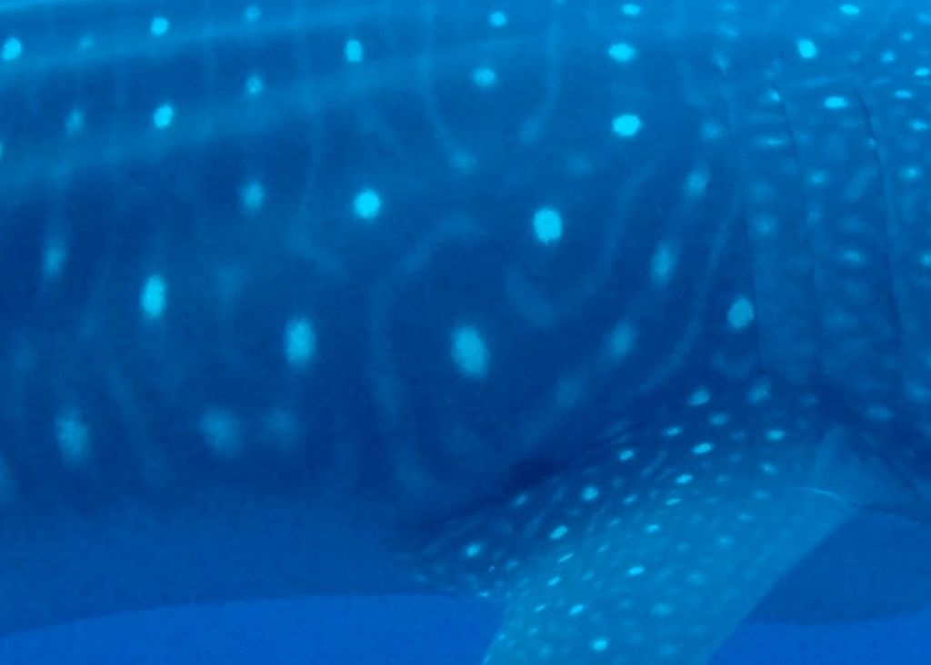 a0ee22d3-f072-4b46-89b4-c872f6ec7377