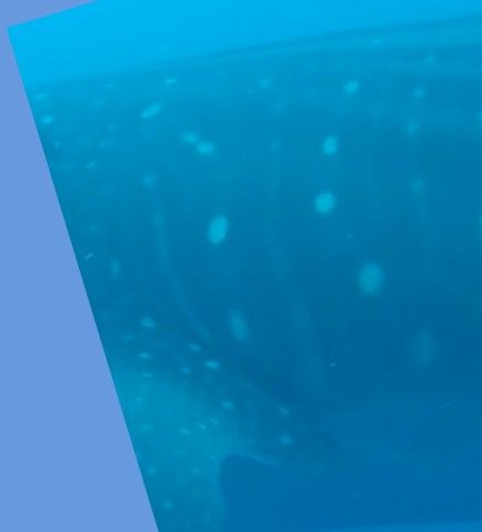 a0ee22d3-f072-4b46-89b4-c872f6ec7377