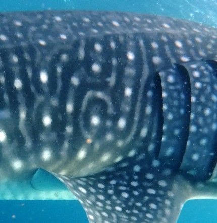 0d3a304c-21f0-4ff7-a816-428f4efdac2e