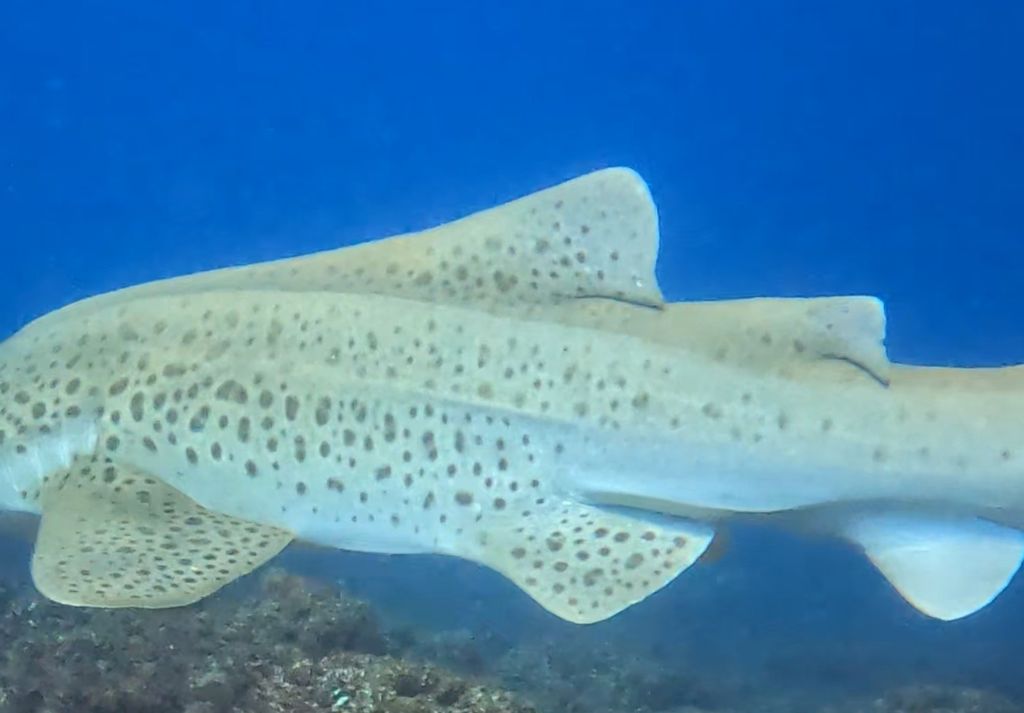 d881fc37-2356-4124-864f-77ccd9ec2098