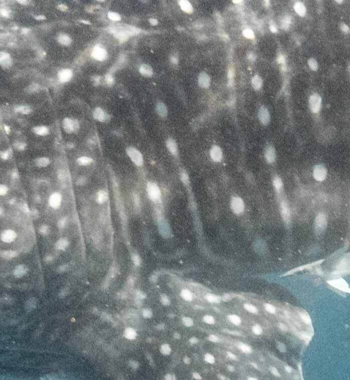 b74238a2-2a04-468f-99b1-60d52784fc12