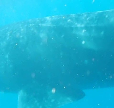 eb317d79-0ba9-45d7-801c-5d0c3c74e3a4