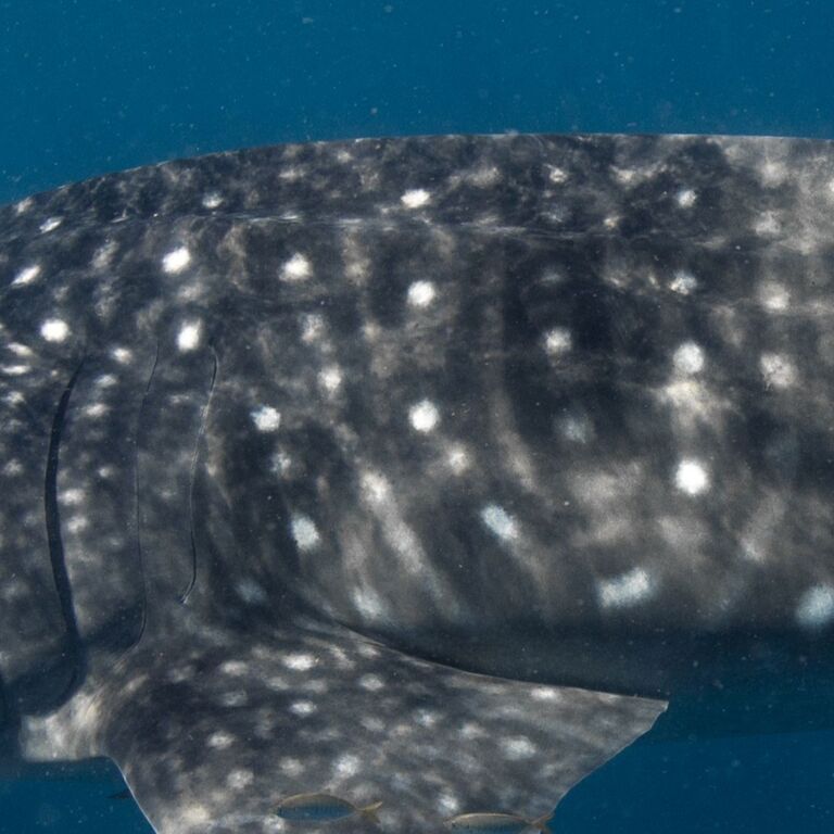 e122c9be-9a72-43c0-8bf9-f27d0e06cba2