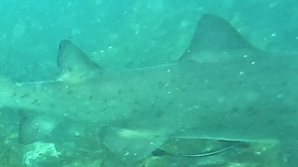 a0a8c8f6-d988-4e37-bb95-84b685602857