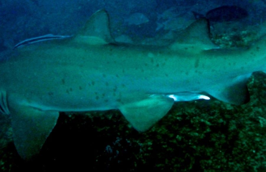 710310b1-7065-4091-a1ed-d3bc1735571a