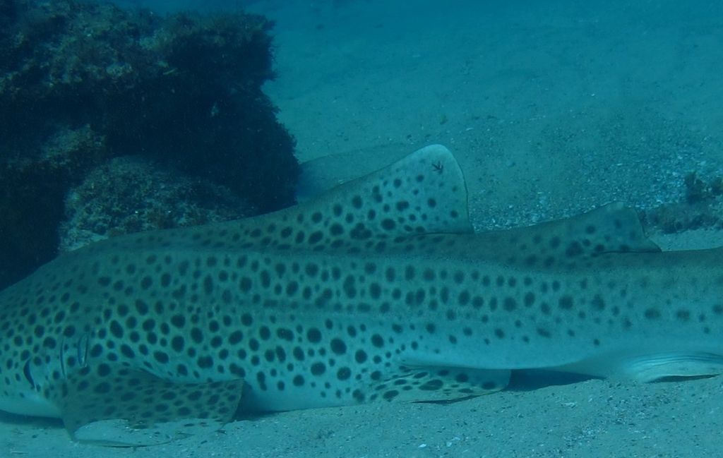 0536166b-fa9d-4019-92df-4bf2def7447d