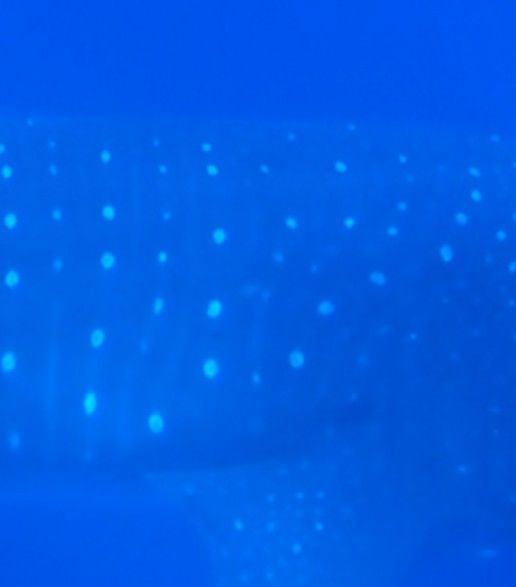 19cebef1-037e-42ed-8b88-88a3ea7dc272