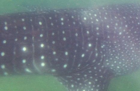 6519f4aa-99b7-4f42-90e3-9e2ada312394