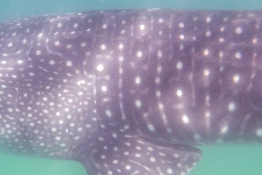 6519f4aa-99b7-4f42-90e3-9e2ada312394