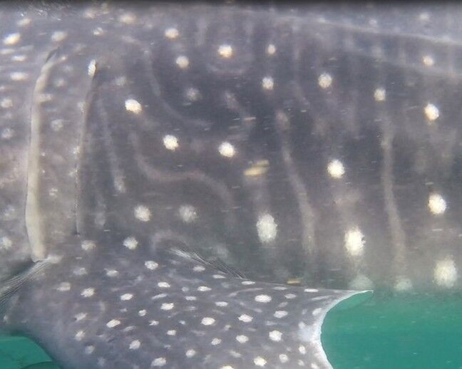 631ec6a0-fb8c-4195-bd07-90f47dc4f27a