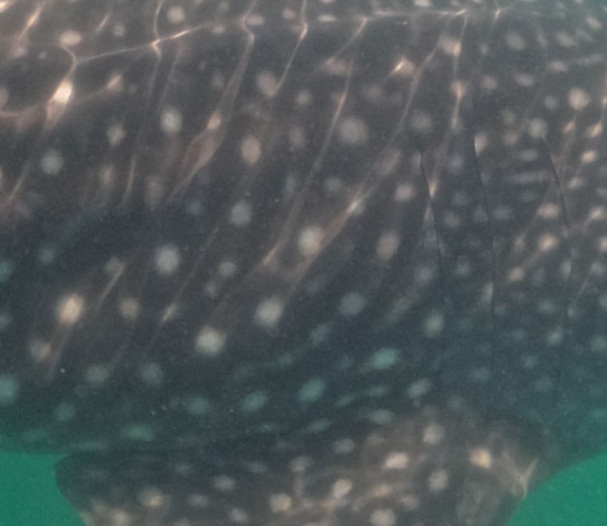 0833010f-053a-400e-a3d5-7e5a0b98ea94