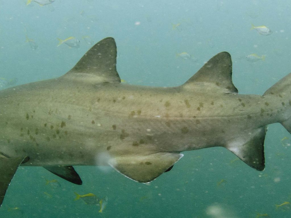 525fddd7-f958-4c37-b84b-37e8c47575d4