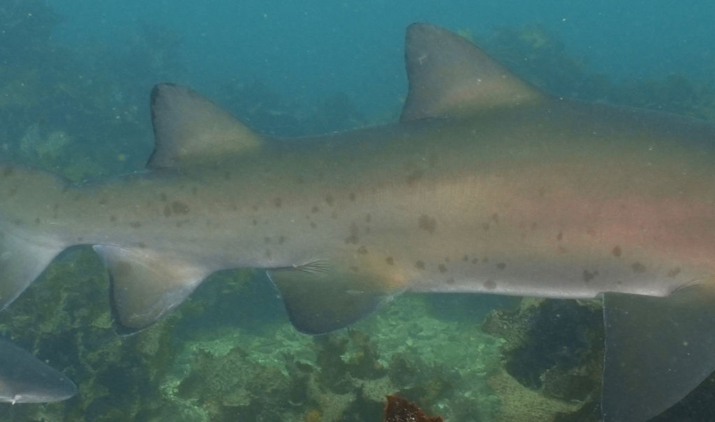 663690a9-b6be-47ff-a49a-cb55f871348b