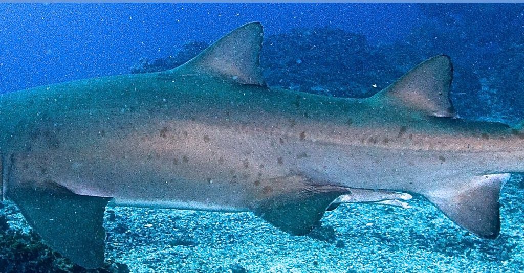 0847b9b2-1328-4a54-bf5f-a5c4ecbedc66