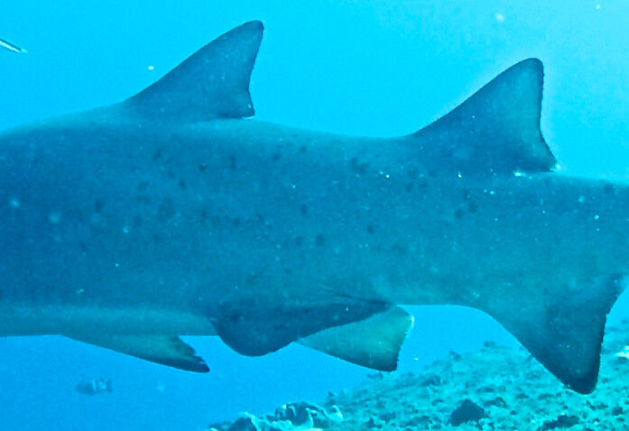 1dc1e17d-460a-46fc-bfec-d17858f7ebe3