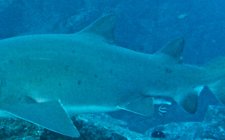 3c9e6d75-430f-49a0-9b68-fdbd7fbf04ac