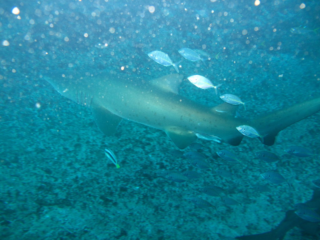 8ac55cd9-2477-41ba-bd10-320a83500efa