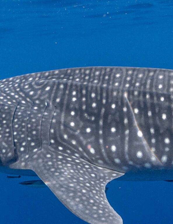 2f558cb7-62f8-4b3c-ab64-e1d8a6dc7268