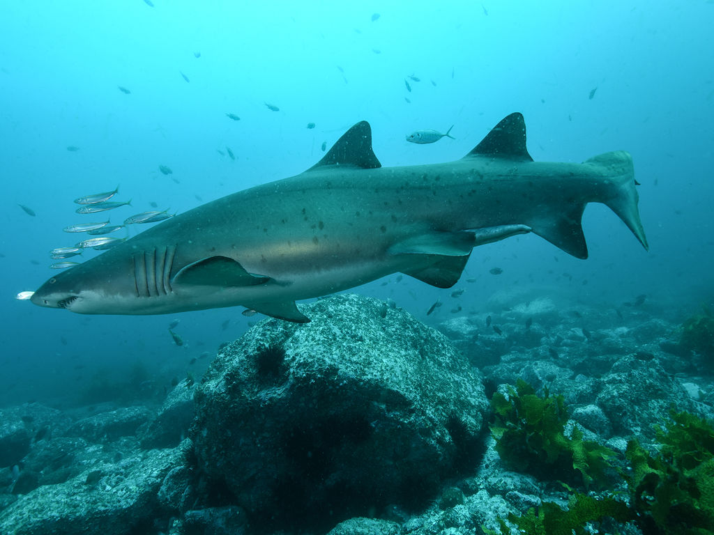 851845cf-33c9-47ea-bed2-bf6e5763c2ff