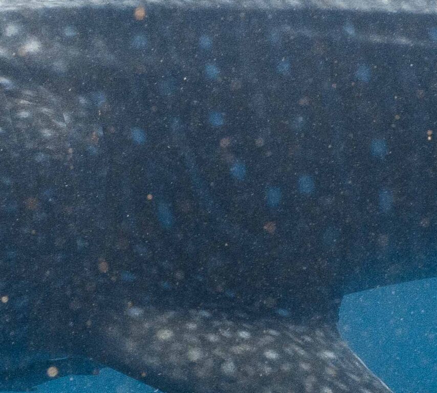 79db757f-721f-4516-9c14-2eedea3eb3cf