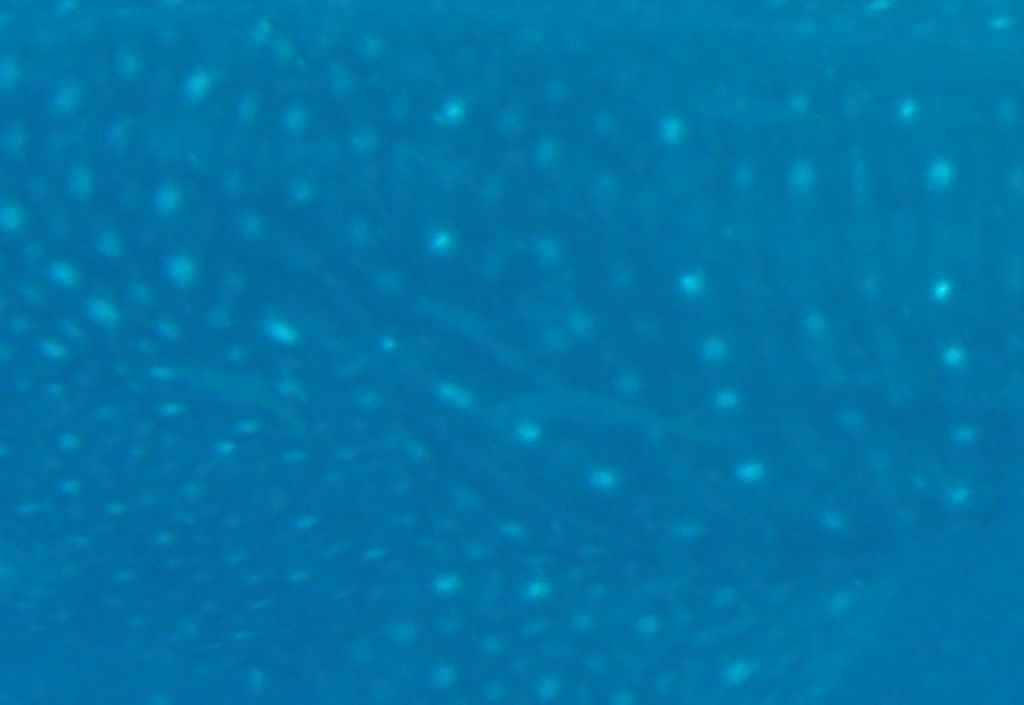 f6454046-c601-41e7-a8b0-b7361d7fd604