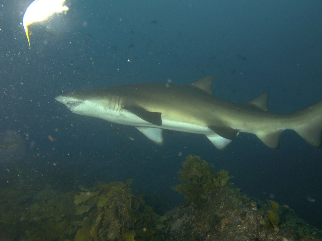 6b1b94cb-9994-4335-9b20-e870b1cf7ad1