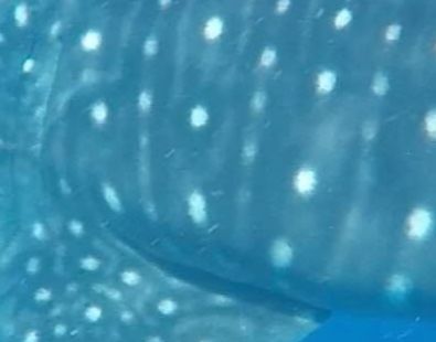 c26e7f43-0399-4eaa-a736-2c8312b6a4bc